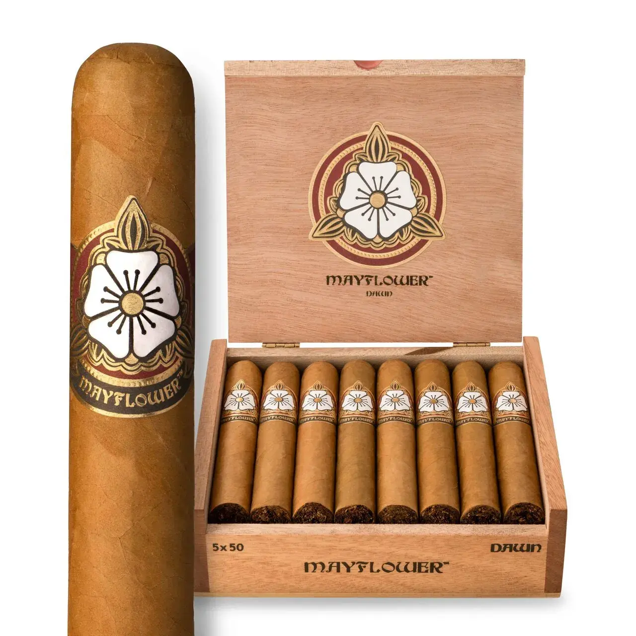 Mayflower Dusk - Toro