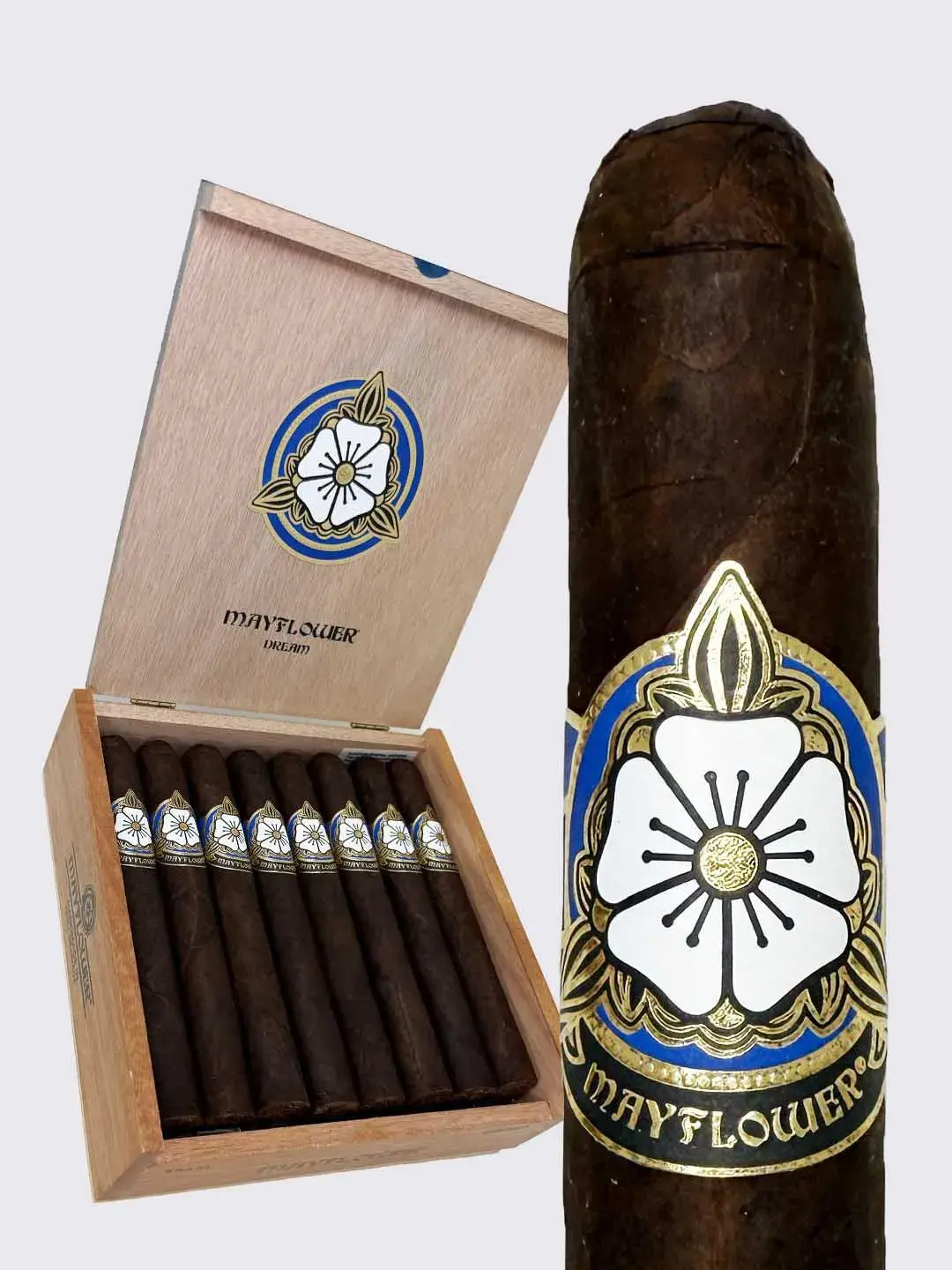 Mayflower Dream - Toro